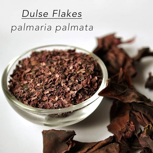 Dulce Flakes